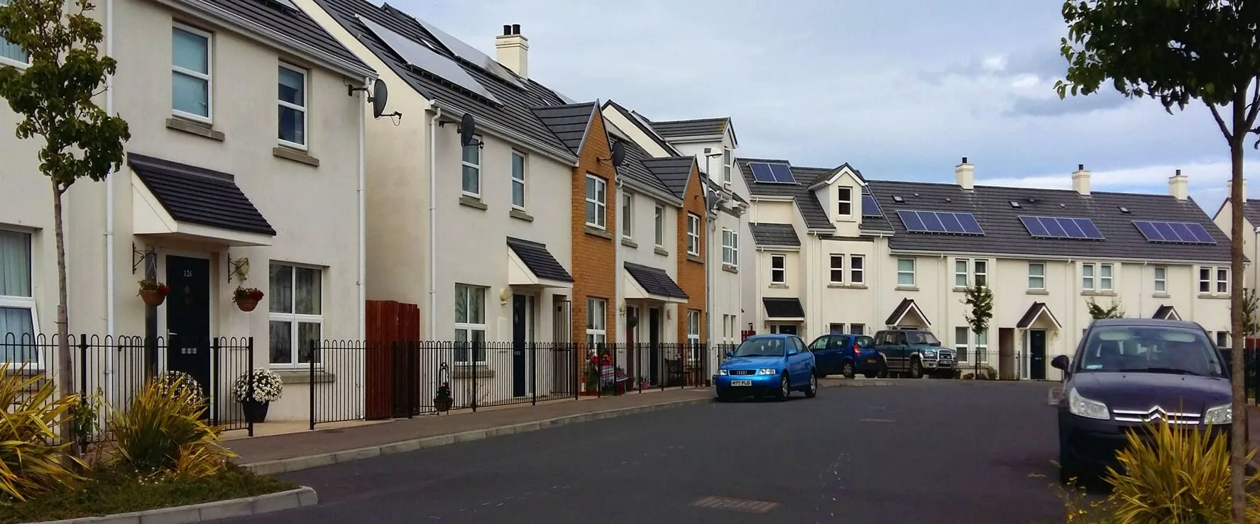 Braham Burren Meadows2